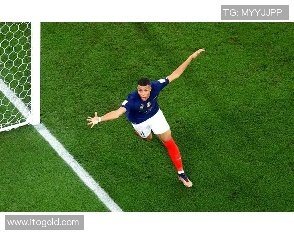 2015南非世界杯法国与丹麦赛前分析及预测展望 2015南非世界杯法国与丹麦赛前分析及预测展望